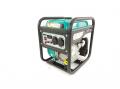  (220 )  Iron Angel EG3300I